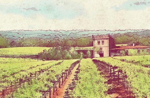 Tour de las estrellas "España y Portugal, el mayor viñedo del mundo"